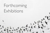 Forthcoming Exhibitions