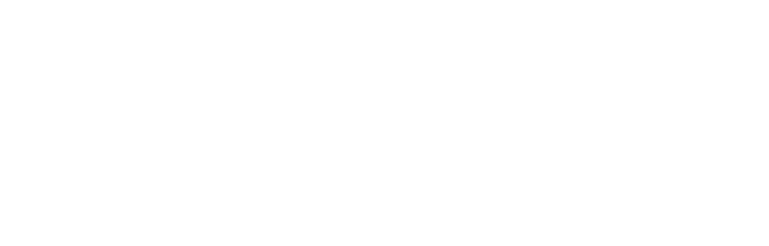 Welsh Government Logo