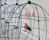 Wire Cages and Wild Animals