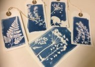 Botanical Cyanotype