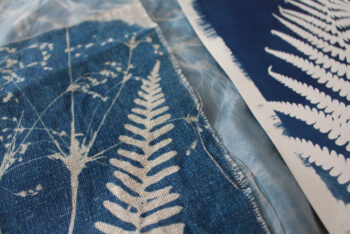 Cyanotypes and Paintings of Spring Flowers