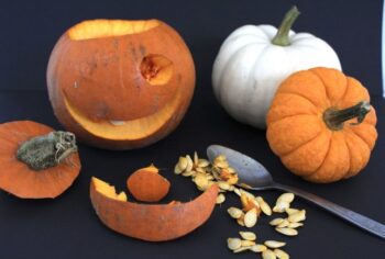 Children's Workshop Pumpkin Carving and Decorating