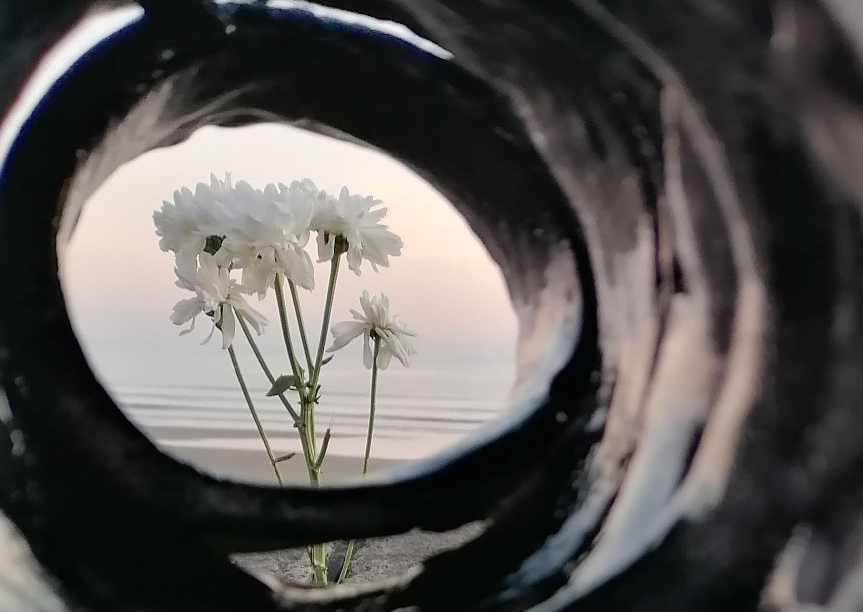 Nissma Brown, Design Craft SCoA UWTSD Live Project Nissma Brown, Design Craft SCoA UWTSD Live Project